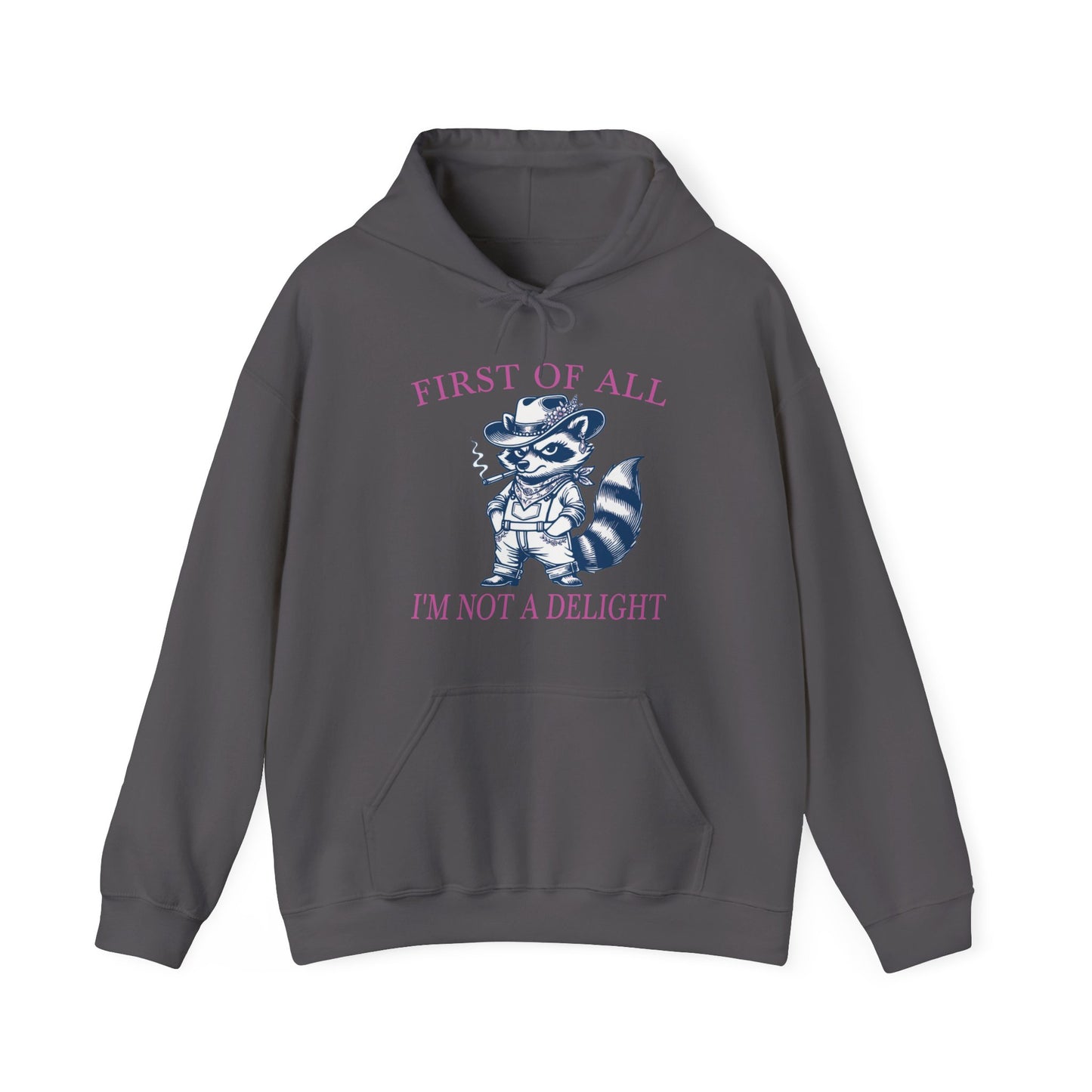 First of All, I'm Not a Delight - Hoodie