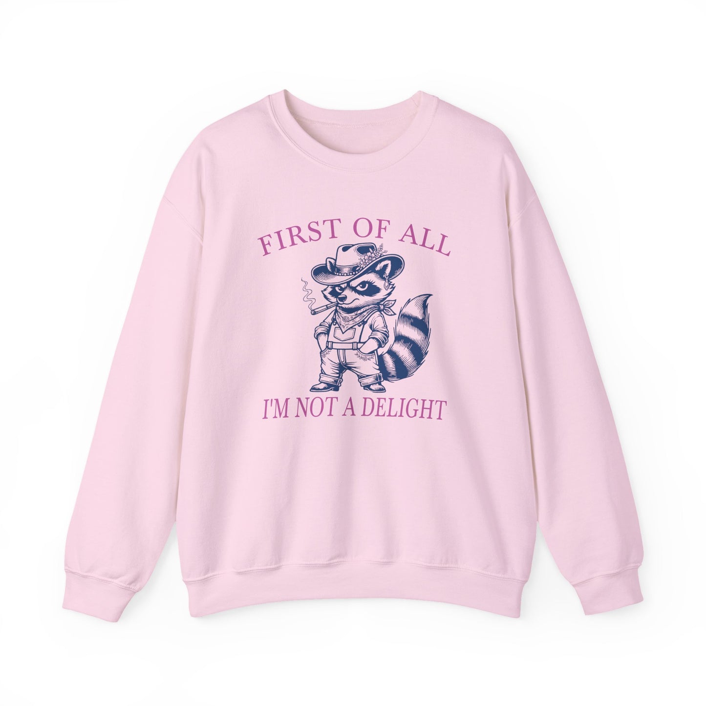 First of All I'm Not a Delight - Sweatshirt