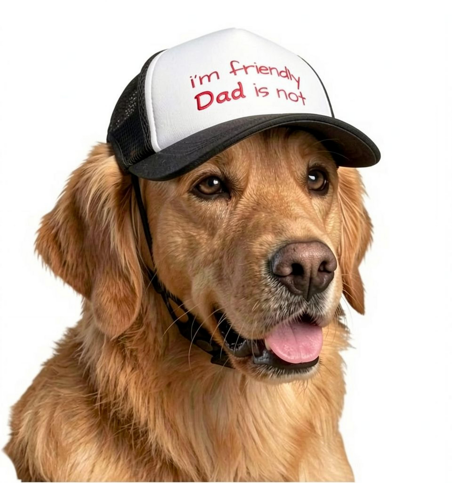 I'm Friendly, Dad Is Not - Dog Hat